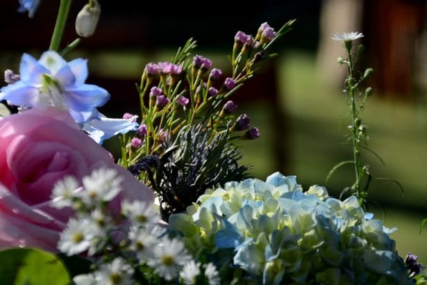 Oficiante Celebrant Mariages Bodas Hotel Envia Almeria_