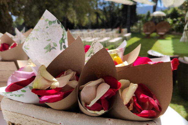 Oficiante de bodas en Finca Paloverde, Alhaurín de la Torre.
